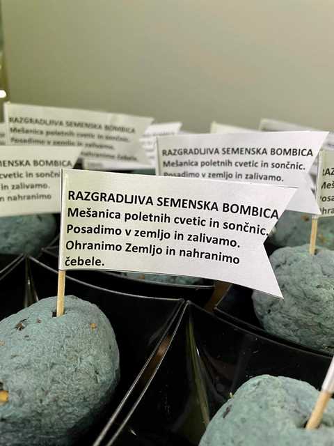Svetovni dan Zemlje